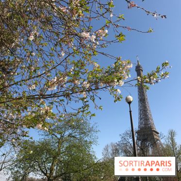 Visuel Paris Tour Eiffel, printemps