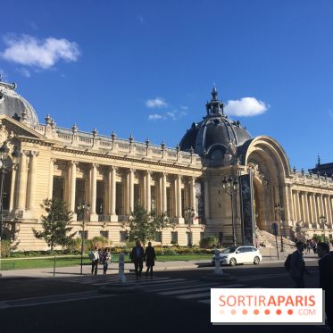 Visuel Paris Petit Palais