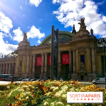 Visuel Paris Grand Palais