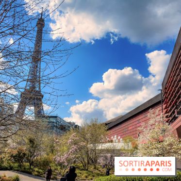 Visuel Paris, tour eiffel - Musée du Quai Branly