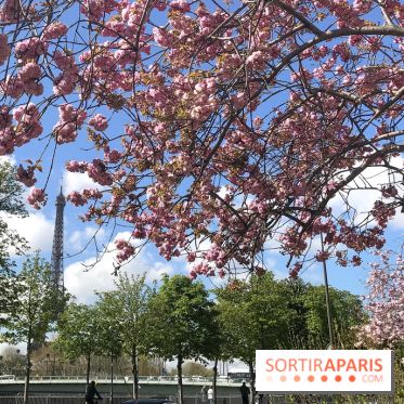 Visuel Paris, Tour Eiffel printemps