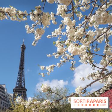 Visuel Paris, Tour Eiffel printemps