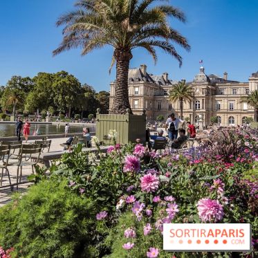 Visuel Paris jardin du luxembourg
