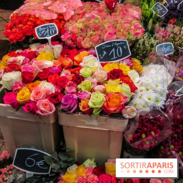 Visuel Paris marché d'Aligre fleurs