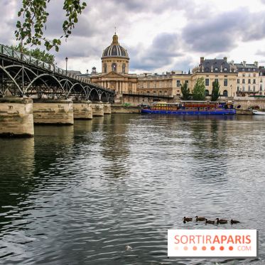 Visuel Paris pont des arts