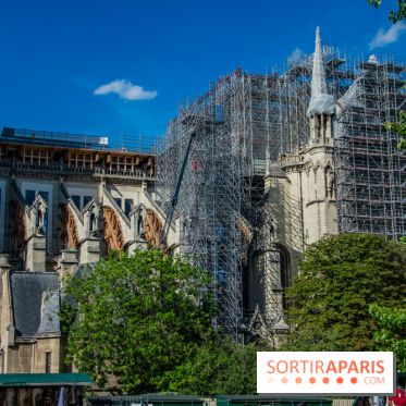 Visuel Paris Notre Dame chantier
