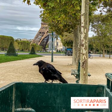 Visuel Paris Vendredi 13