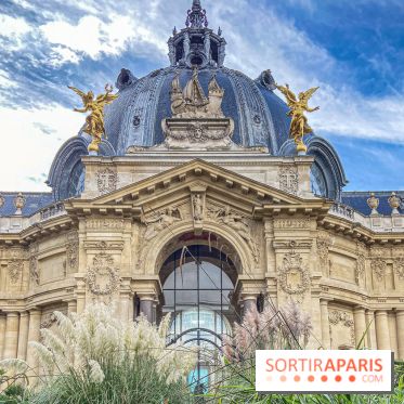 Visuel Paris Petit Palais