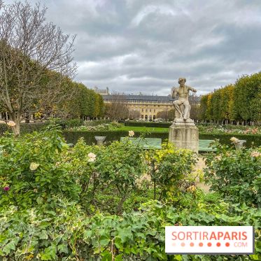 Visuel Paris vide confinement Palais Royal