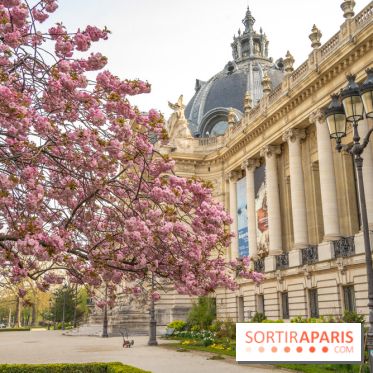 Visuel Paris arbres en fleurs, jardins, parc Petit Palais