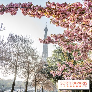 Visuel Paris Tour Eiffel cerisiers en fleurs