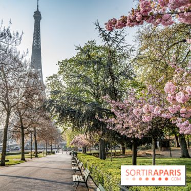 Visuel Paris Tour Eiffel cerisiers en fleurs
