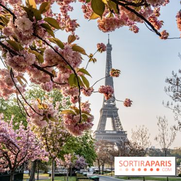 Visuel Paris Tour Eiffel cerisiers en fleurs