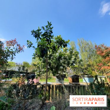 Visuel Paris - rucher