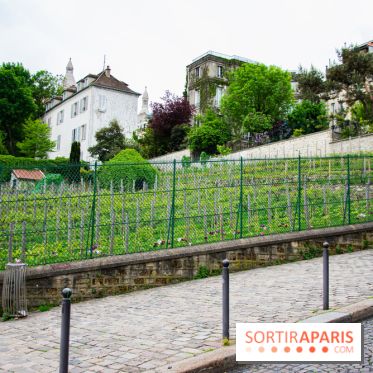 Visuel Paris vignes Montmartre