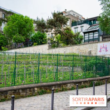 Visuel Paris vignes Montmartre