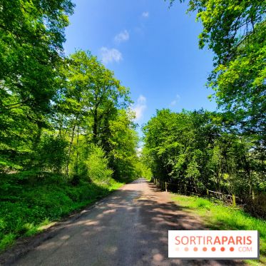 Visuel Paris balade forêt île de france