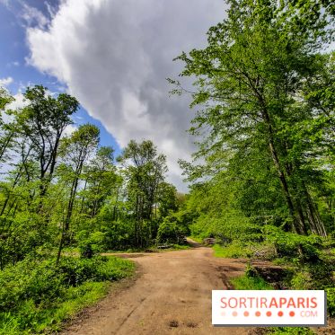 Visuel Paris balade forêt île de france