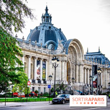 Visuel Paris petit palais