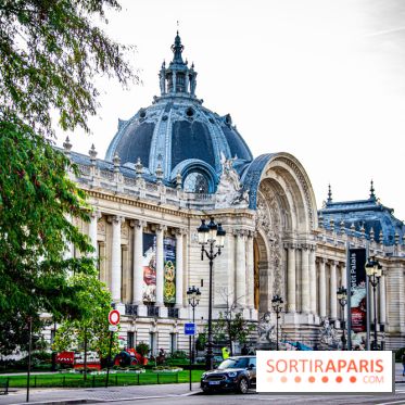 Visuel Paris petit palais