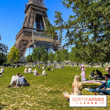 Visuel Paris pique-nique bronzer