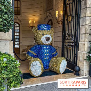 Paris visuel - noel Paris - ritz Paris