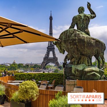 visuel Paris visuel  -  Tour Eiffel - terrasse - café
