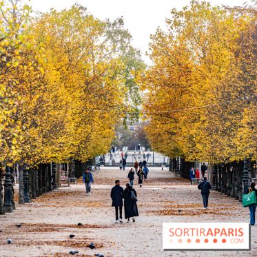 visuel Paris visuel  -  A7C6383