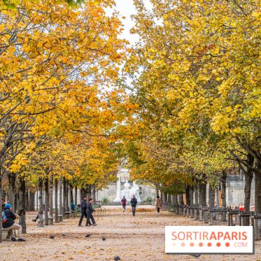 visuel Paris visuel  -  A7C6378