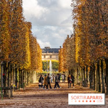 visuel Paris visuel  -  A7C6390