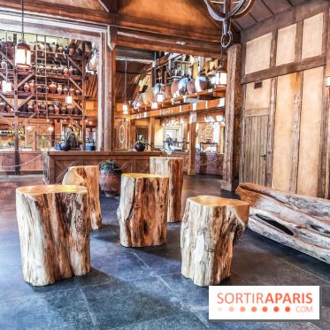 Cité Suspendue, le nouvel hôtel 2018 du Parc Astérix : nos photos