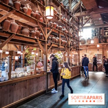 Cité Suspendue, le nouvel hôtel 2018 du Parc Astérix : nos photos