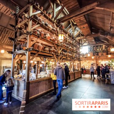 Cité Suspendue, le nouvel hôtel 2018 du Parc Astérix : nos photos