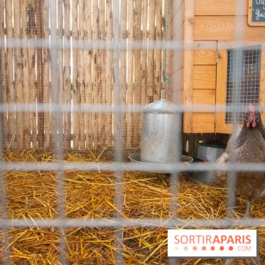 Brach Paris, l'hôtel signé Starck dans le 16e