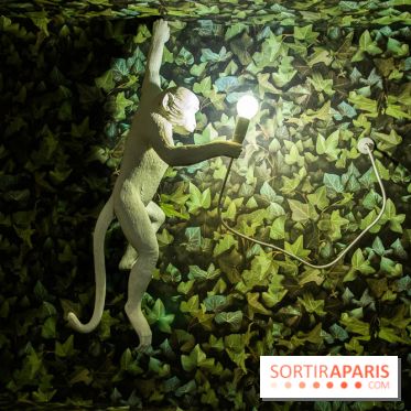 Garden Café : nos photos