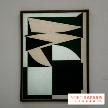 Exposition Vasarely Centre Pompidou, nos photos