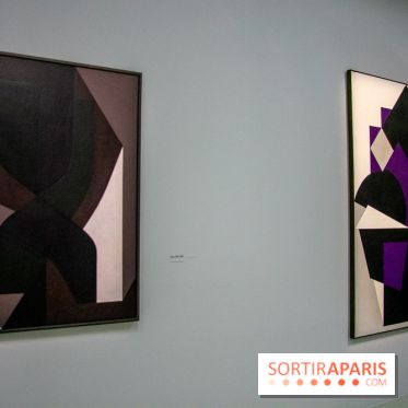 Exposition Vasarely Centre Pompidou, nos photos