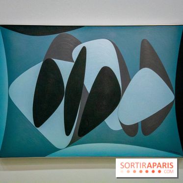 Exposition Vasarely Centre Pompidou, nos photos