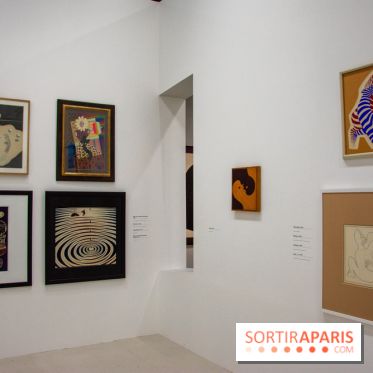 Exposition Vasarely Centre Pompidou, nos photos