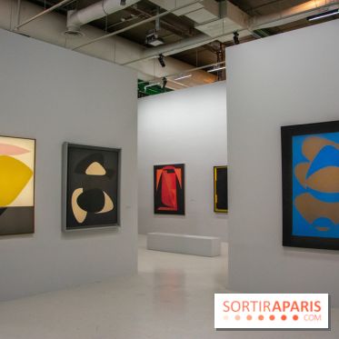 Exposition Vasarely Centre Pompidou, nos photos