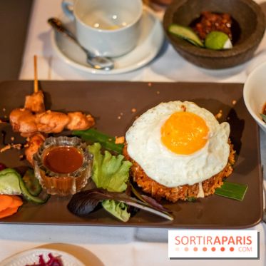 Djakarta-Bali : nasi goreng special (riz sauté à l'indonésienne et saté ayam)