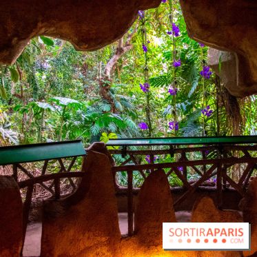 Mille et une Orchidées 2019 au Jardin des Plantes, les photos