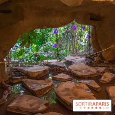 Mille et une Orchidées 2019 au Jardin des Plantes, les photos