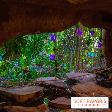 Mille et une Orchidées 2019 au Jardin des Plantes, les photos