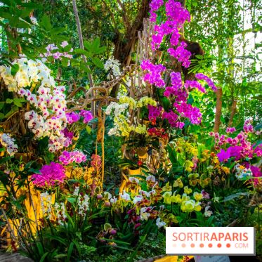 Mille et une Orchidées 2019 au Jardin des Plantes, les photos