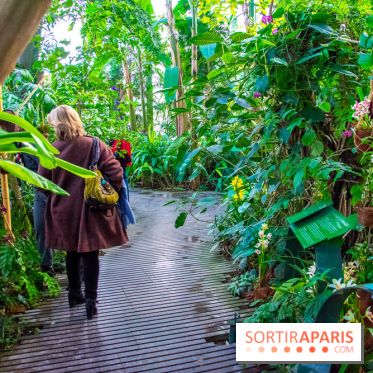 Mille et une Orchidées 2019 au Jardin des Plantes, les photos