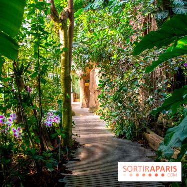 Mille et une Orchidées 2019 au Jardin des Plantes, les photos