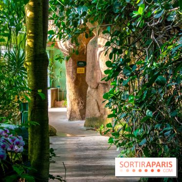 Mille et une Orchidées 2019 au Jardin des Plantes, les photos