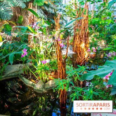 Mille et une Orchidées 2019 au Jardin des Plantes, les photos