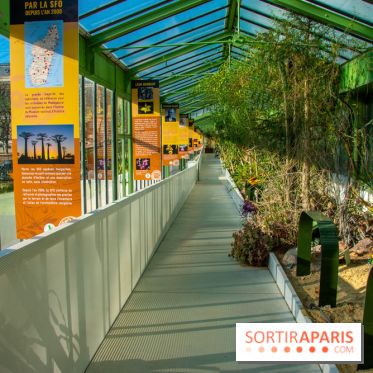 Mille et une Orchidées 2019 au Jardin des Plantes, les photos